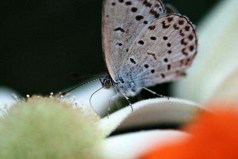 f0046614_2011073.jpg