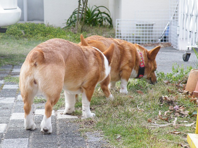 c0127617_18294636.jpg