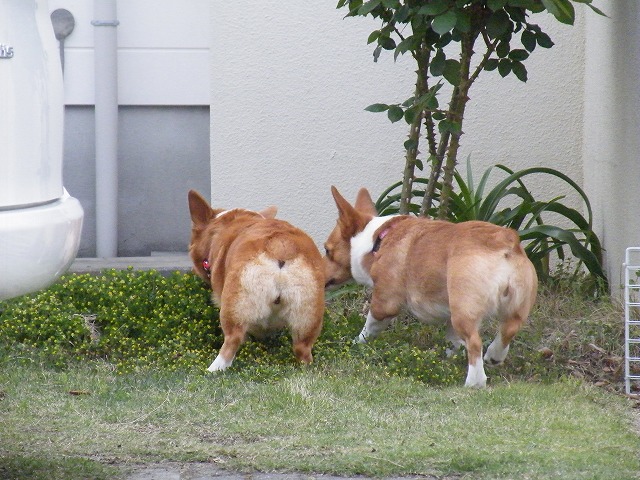 c0127617_1830267.jpg