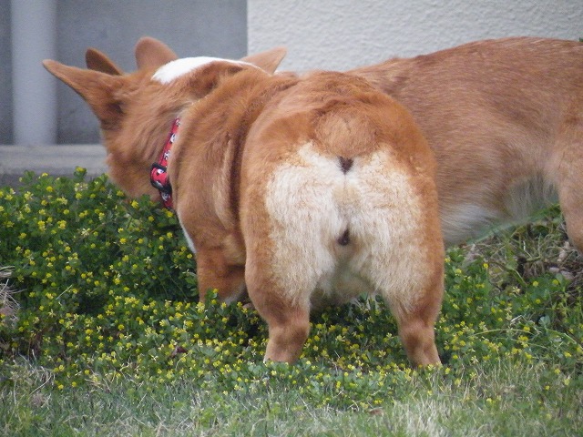c0127617_18303814.jpg