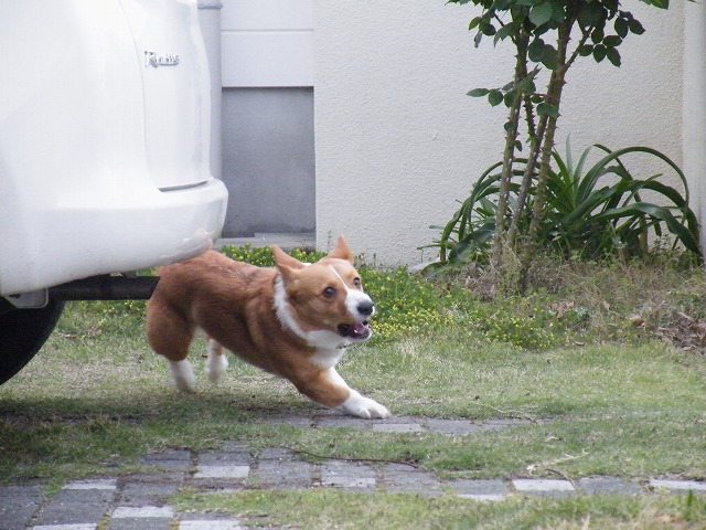 c0127617_1834766.jpg