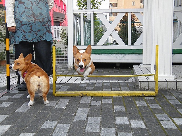 c0127617_18423620.jpg