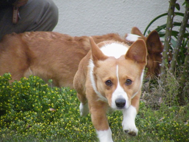 c0127617_18535627.jpg