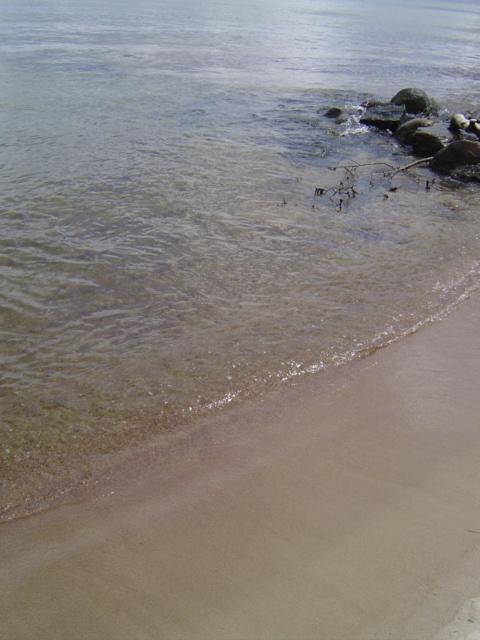 a0104020_16351028.jpg
