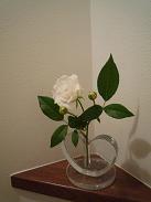 f0150620_20551567.jpg