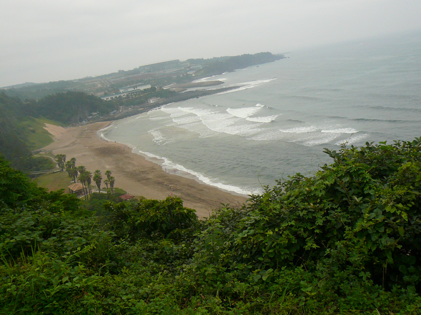 f0163920_2241443.jpg