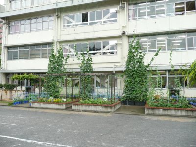 d0004728_93522100.jpg