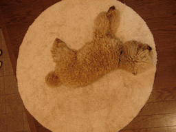 c0136736_23215923.gif