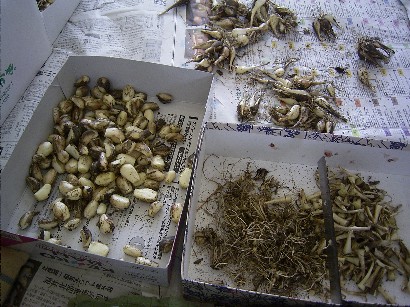 c0144638_0145341.jpg