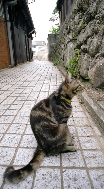 c0158340_200689.jpg