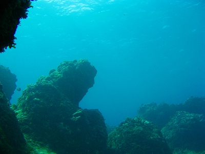 f0167844_22374768.jpg