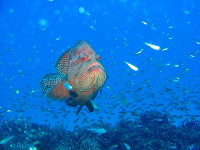 f0167844_22414990.jpg