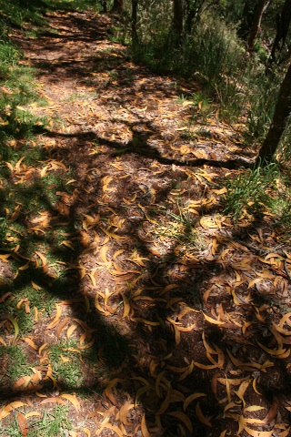 e0129046_953246.jpg