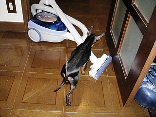 c0123149_191832.jpg