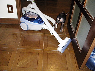 c0123149_1918592.jpg