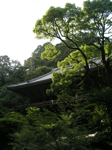 c0122670_232195.jpg