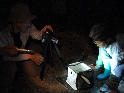 c0091679_22146.jpg