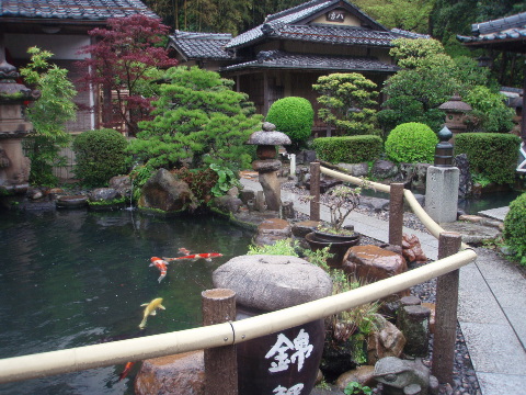 d0098183_116396.jpg