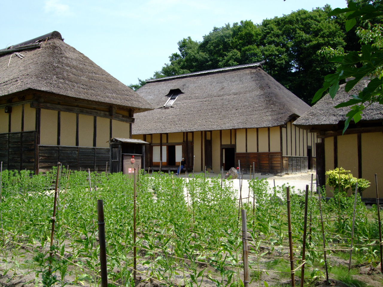 f0100593_1441598.jpg