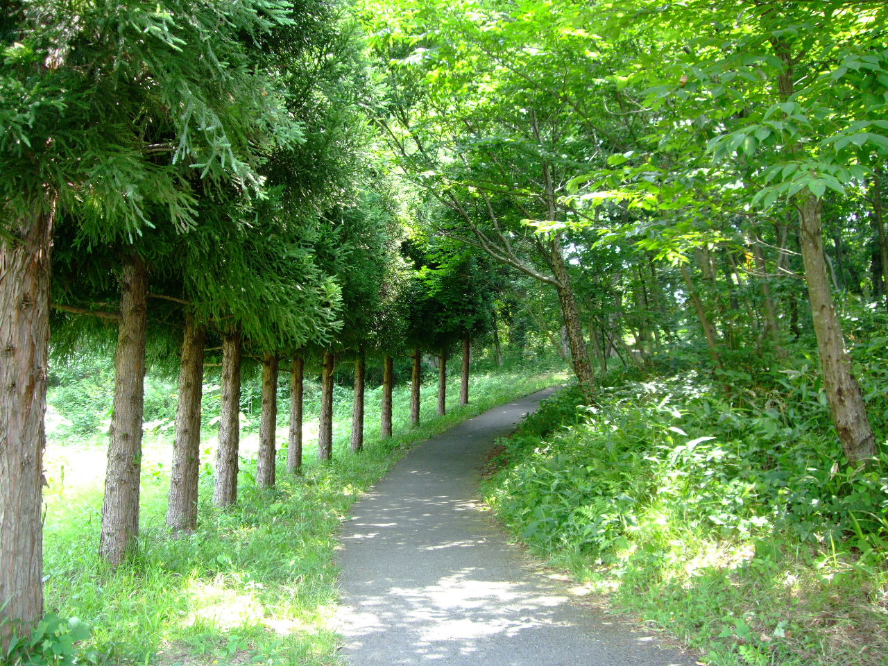 f0100593_14431120.jpg