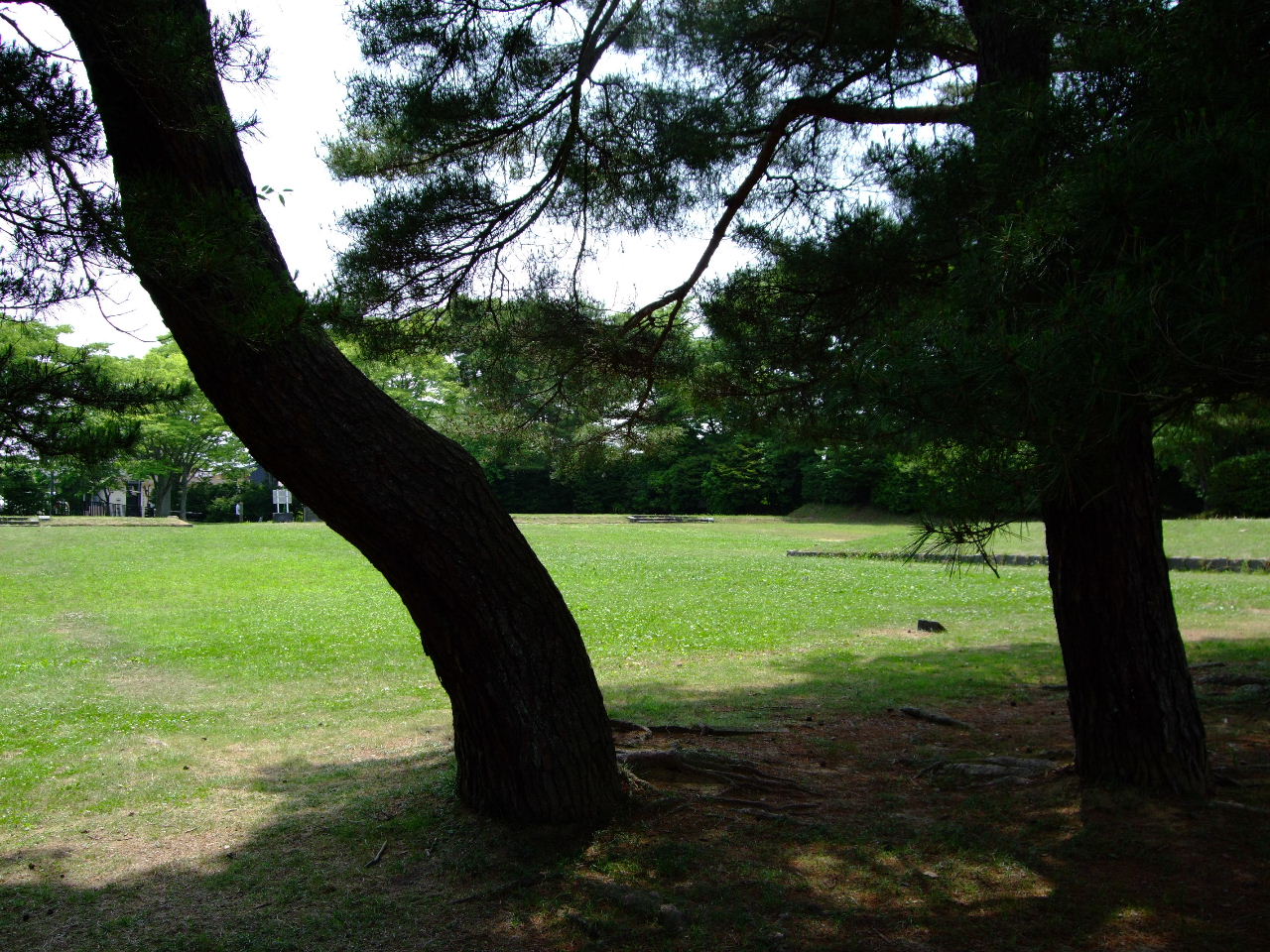 f0100593_14432222.jpg