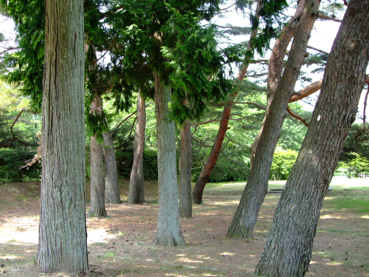 f0100593_14441939.jpg