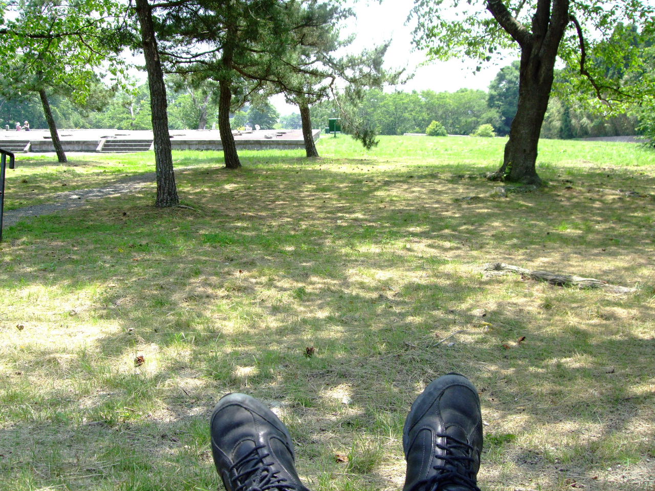 f0100593_15165691.jpg