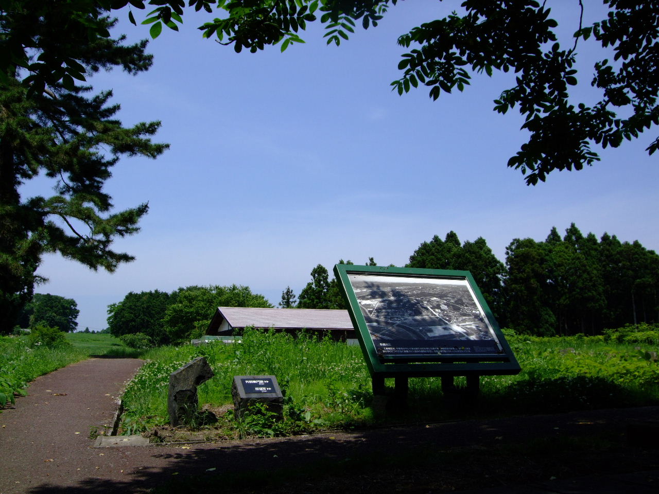 f0100593_15174149.jpg