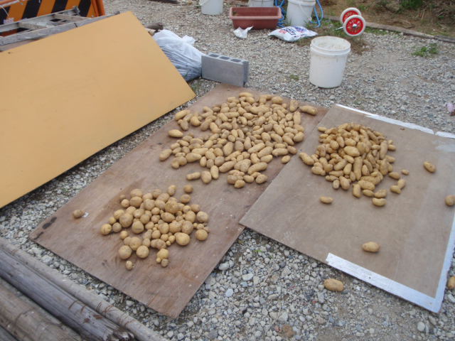 e0116798_9505184.jpg