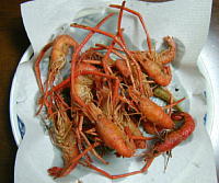 f0163398_17121535.jpg