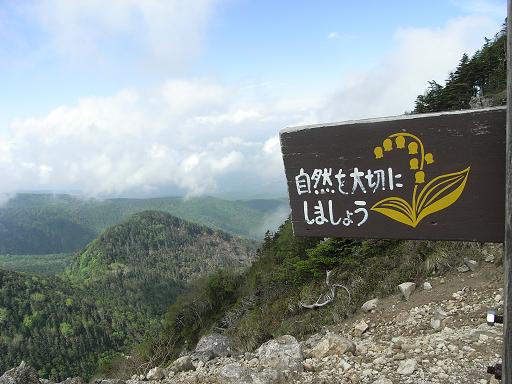 b0116703_1448347.jpg