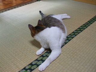 c0103205_20421838.jpg