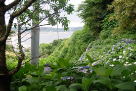 a0031714_1137492.jpg
