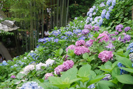 a0031714_11394858.jpg