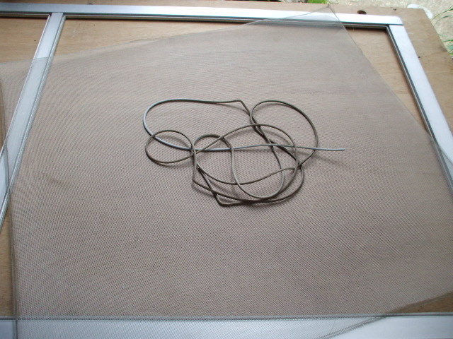b0096418_950032.jpg