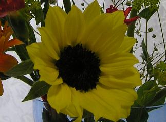 c0141335_206832.jpg