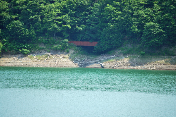 f0166545_23452978.jpg
