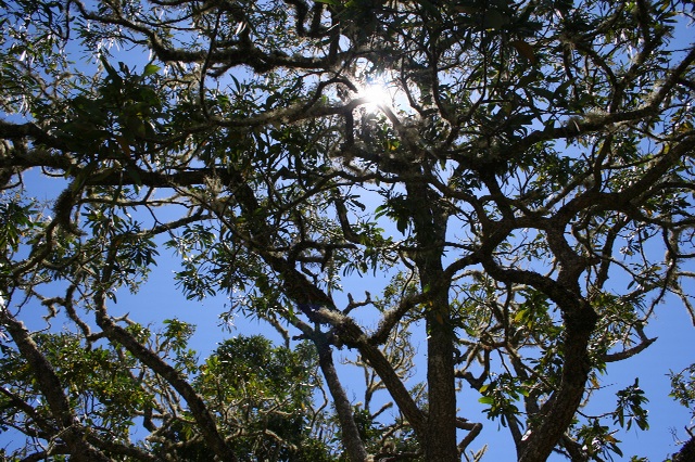 e0129046_11231357.jpg