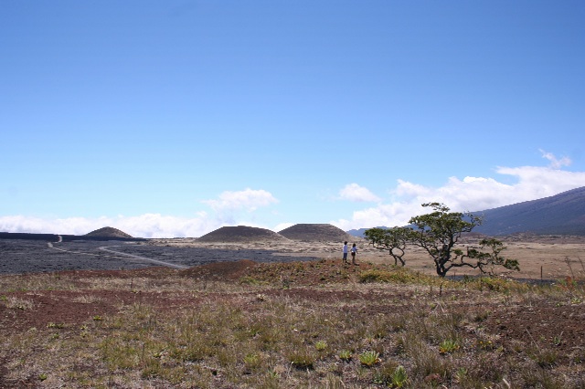 e0129046_11245254.jpg
