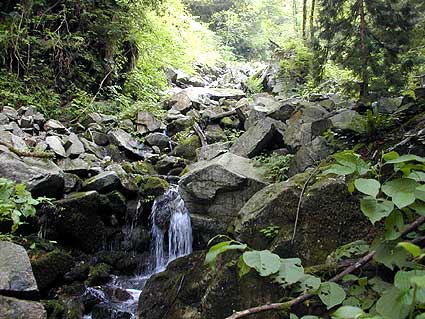 c0050857_1234465.jpg