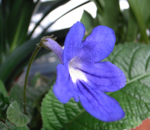 c0050857_12404135.jpg