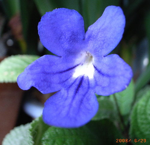 c0050857_1241858.jpg