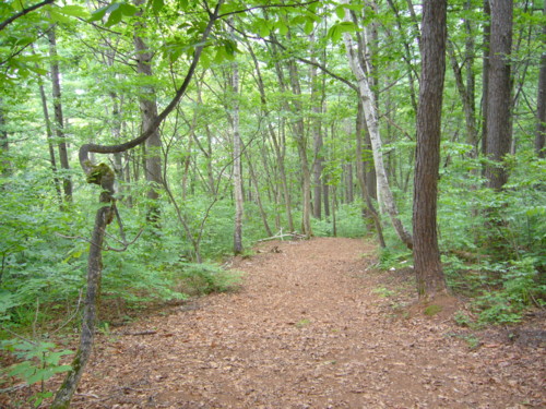 c0135361_16501843.jpg