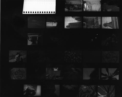 f0169361_1405474.jpg