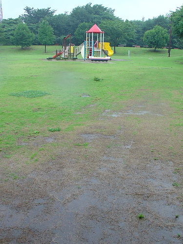 f0166066_1140247.jpg