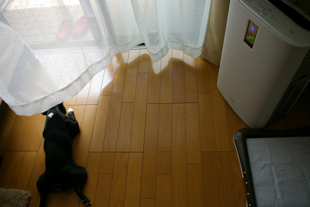 c0032567_17532113.jpg