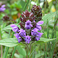 a0050669_23423330.jpg