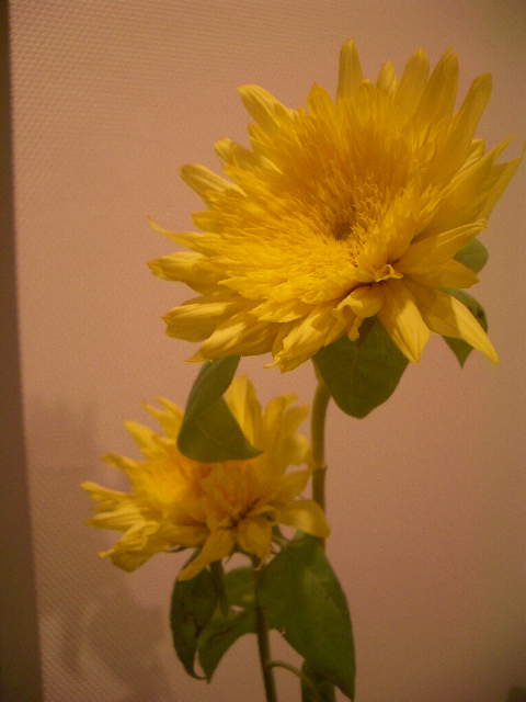 c0053671_13473069.jpg