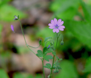 b0068572_2154914.jpg