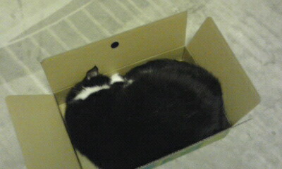 c0023782_15262885.jpg